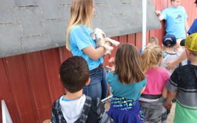 Day on the Farm Provides Agriculture Education