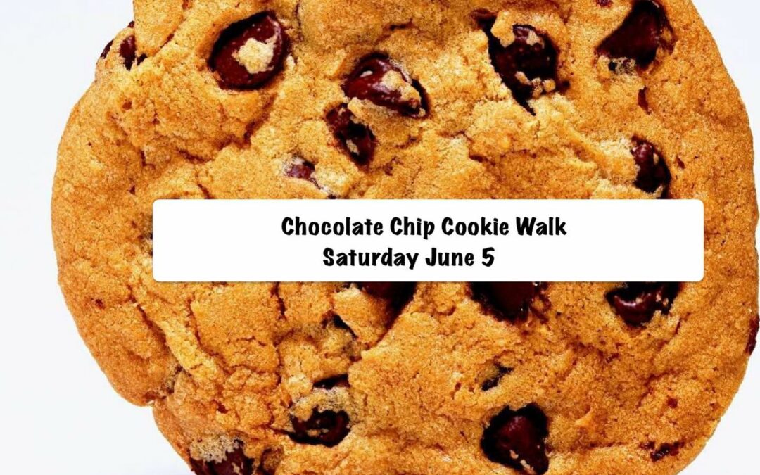 Chocolate chip cookie walk