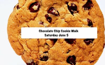 Chocolate chip cookie walk