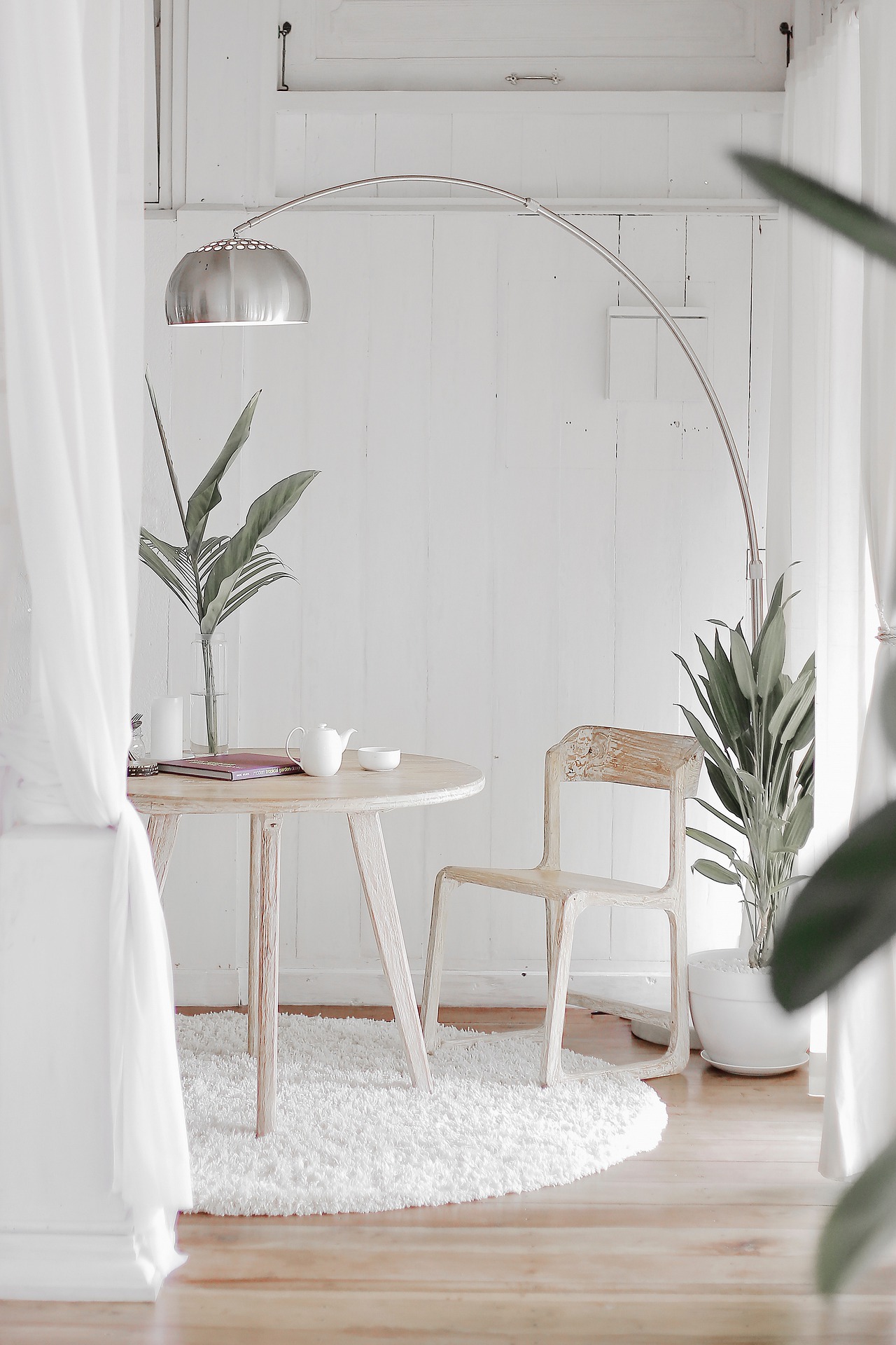 plant-4243898_1920