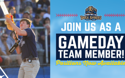 Dock Spiders Seeking Game Day Team Members for 2022