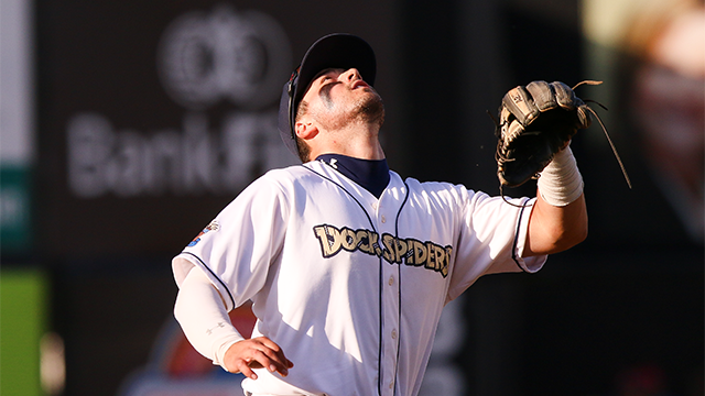 Dock Spiders Fall at Home to Chinooks