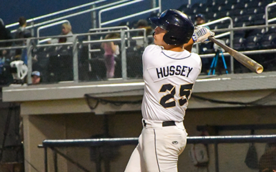 Dock Spiders Fall to Rafters on the Road