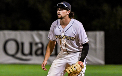 Dock Spiders Fall to Woodchucks in Rainy Affair