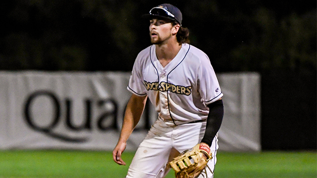 Dock Spiders Fall to Woodchucks in Rainy Affair