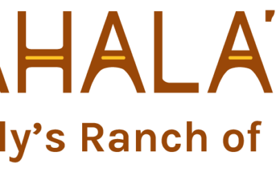 Mahala’s Hope Annual Fundraiser