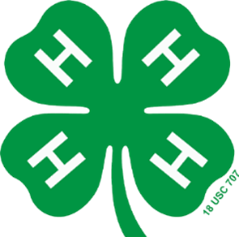 Annual 4-H Family Learning Day