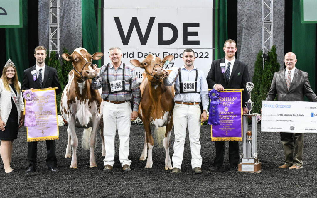 Wisconsin Sweeps Red & White Show