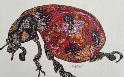 Discover the special ‘Line of Vision’ by a local artist at Langdon Divers Gallery