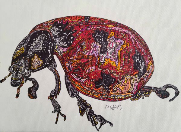 Discover the special ‘Line of Vision’ by a local artist at Langdon Divers Gallery