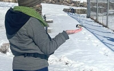 Bird watching helps North Fond du Lac students connect with each other, environment