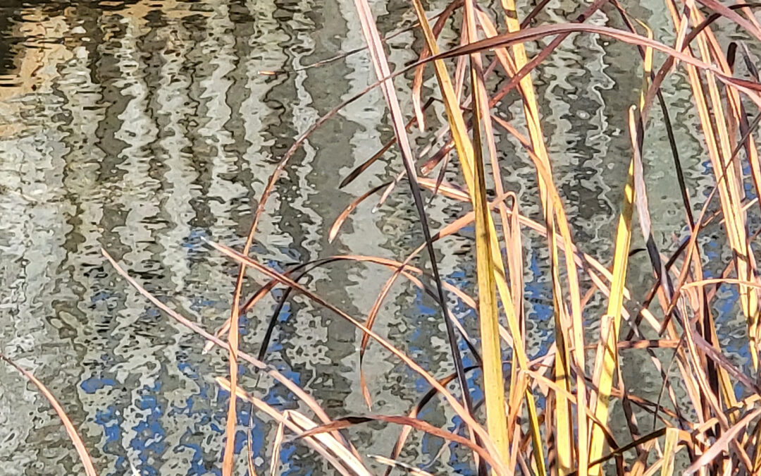 Discover “Words in Art” during exhibit by Open Door Artists at Langdon Gallery