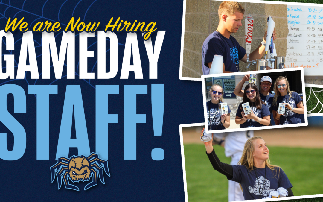 Dock Spiders Seeking Game Day Team Members for 2023
