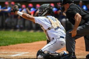 Baseball catcher