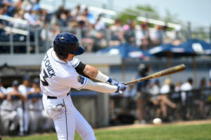 Baseball batter