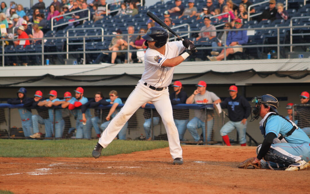 Dock Spiders Fall to Kingfish 3-2 In Series Finale