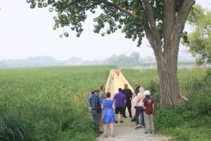 A group of hikers