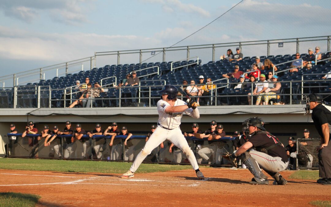 Dock Spiders Fall to Pit Spitters 4-2