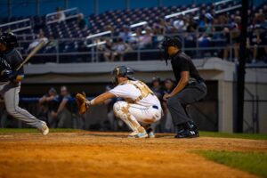 Baseball catcher