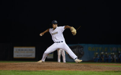 Dock Spiders Flocked by Mallards 8-4