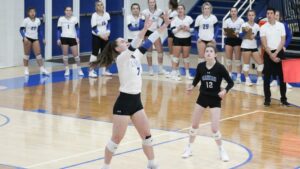 Womens volleyball