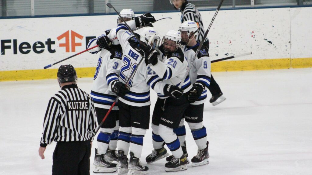 Men playing hockey