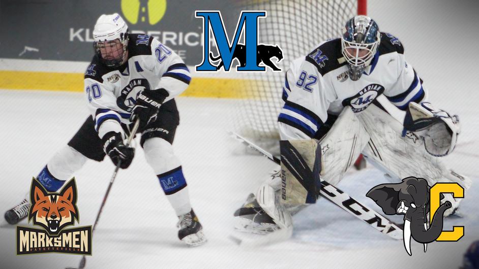 Two male hockey players