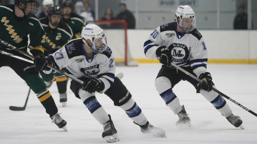 Men playing hockey