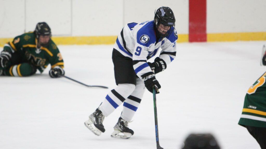 Women playing hockey
