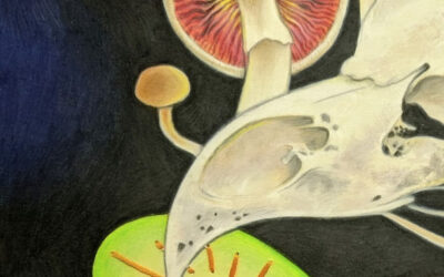 Discover the talents of Fond du Lac’s art educators during January exhibit at Langdon Divers Gallery
