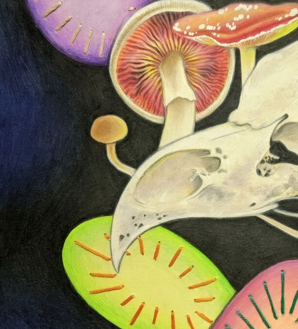 Discover the talents of Fond du Lac’s art educators during January exhibit at Langdon Divers Gallery
