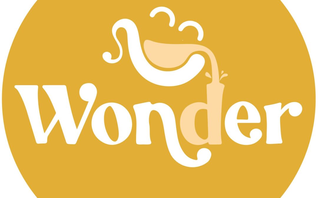 Wonder Brings Joy and Creativity to Downtown Fond du Lac, WI