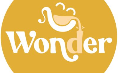Wonder Brings Joy and Creativity to Downtown Fond du Lac, WI