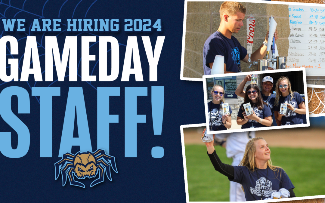 Dock Spiders Seeking Game Day Team Members for 2024