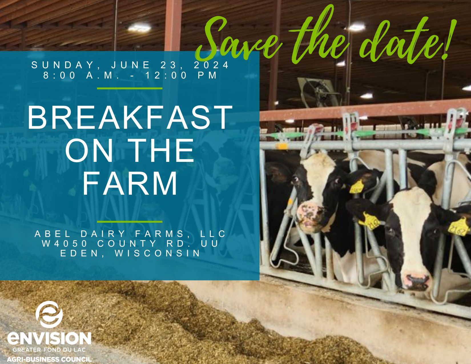 Cows in a stall with a save the date