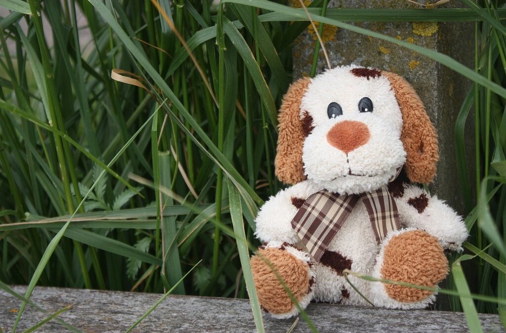 Take your Teddy Bear on an adventure in March at the Fond du Lac Public Library