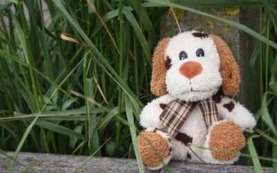 Take your Teddy Bear on an adventure in March at the Fond du Lac Public Library