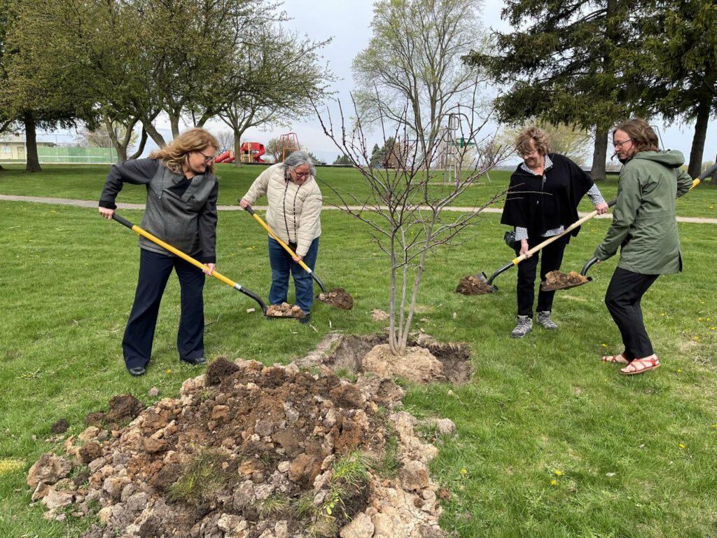 Four women planting a tree
