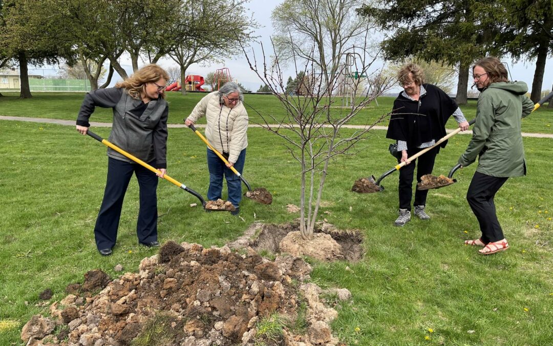 SSM Health Supports Earth-Friendly Activity in Ripon