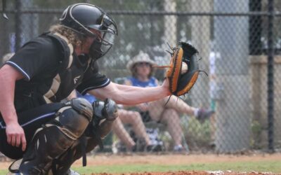 Sabre baseball suffers sweep at MSOE