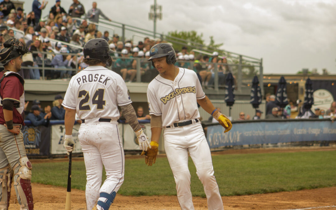 Dock Spiders Late Rally Falls Short to Wausau