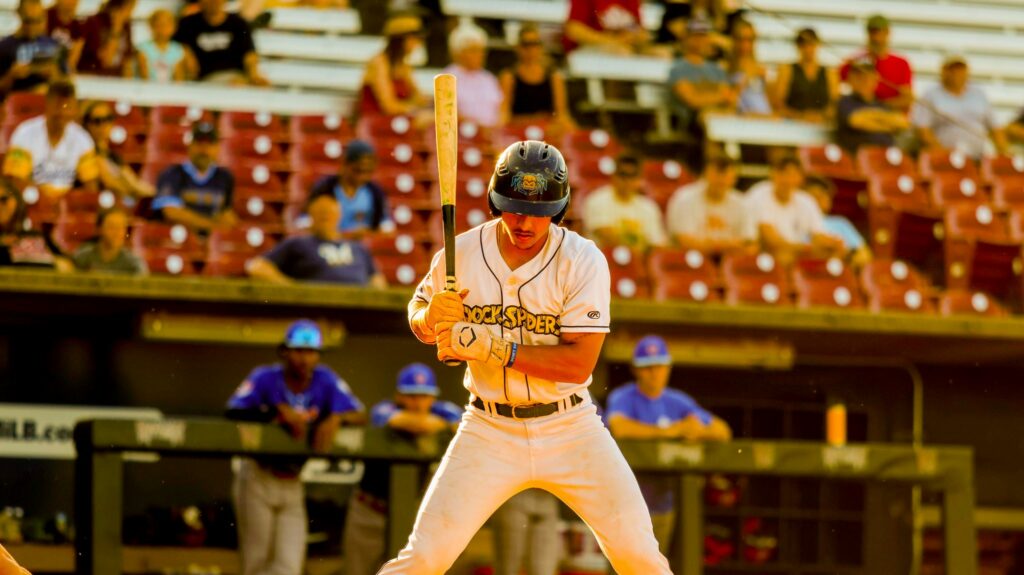 Baseball batter