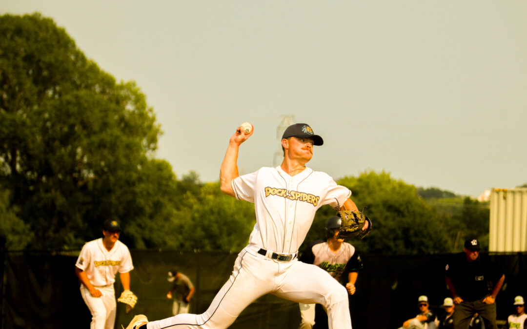 Dock Spiders Shutout by Green Bay, 8-0