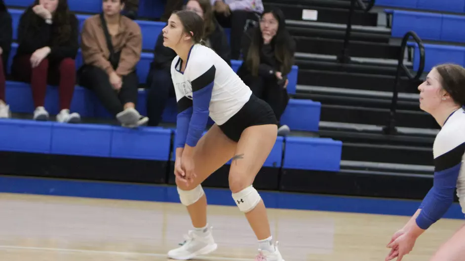 Womens volleyball