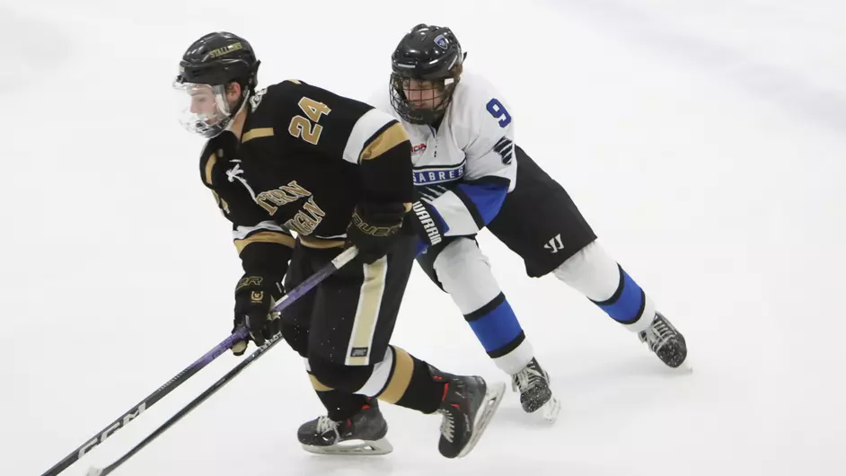 Two men playing college hockey
