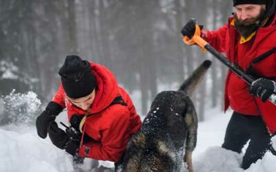 Expanding the Scope of Winter Safety