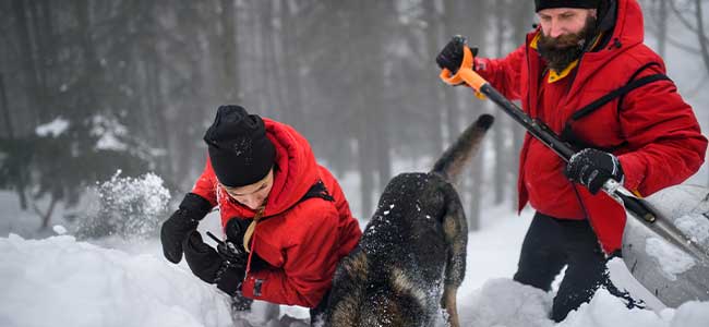 Two men shoveling snow