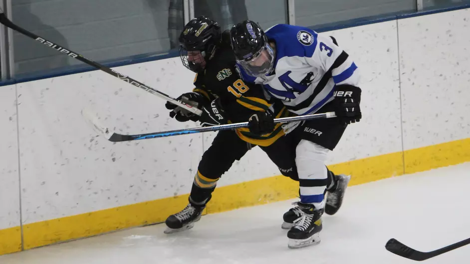 Women playing college hockey
