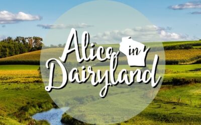 Alice in Dairyland applicants sought