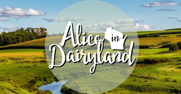 Alice in Dairyland applicants sought